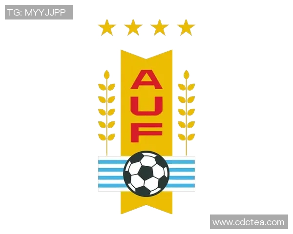 乌拉圭足球明星的辉煌历程与对世界足球的影响分析 乌拉圭足球明星的辉煌历程与对世界足球的影响分析