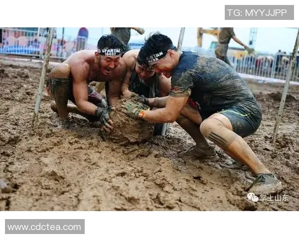 上海与山东的对决谁能笑到最后精彩赛事即将上演