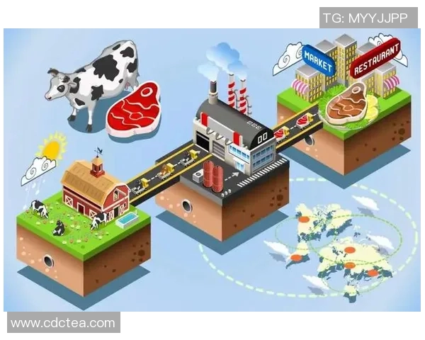 探索生活中的选择与对比vs吧让我们一起发现更好的自己与未来