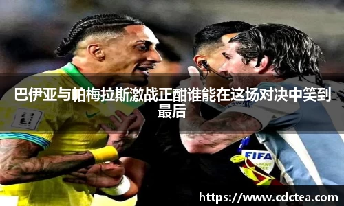谈球吧官网
